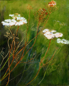 Queen Anne’s Lace, oil on panel, 10”X8”, 2012 SOLD