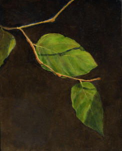 Leaves, oil on panel, 10”X8”, 2009 SOLD