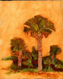 Palmetto or Cabbage Palm, Florida’s State Tree, oil on panel, 10”X8”, 2010  Sold